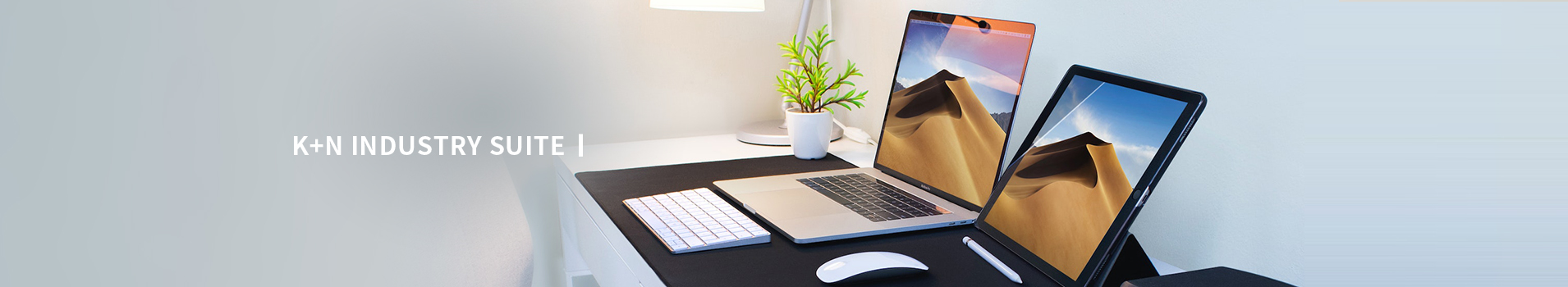 5+5+N Industry Ecology